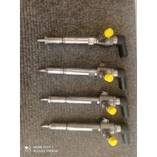 Fluence 110luk Enjektör Takımı